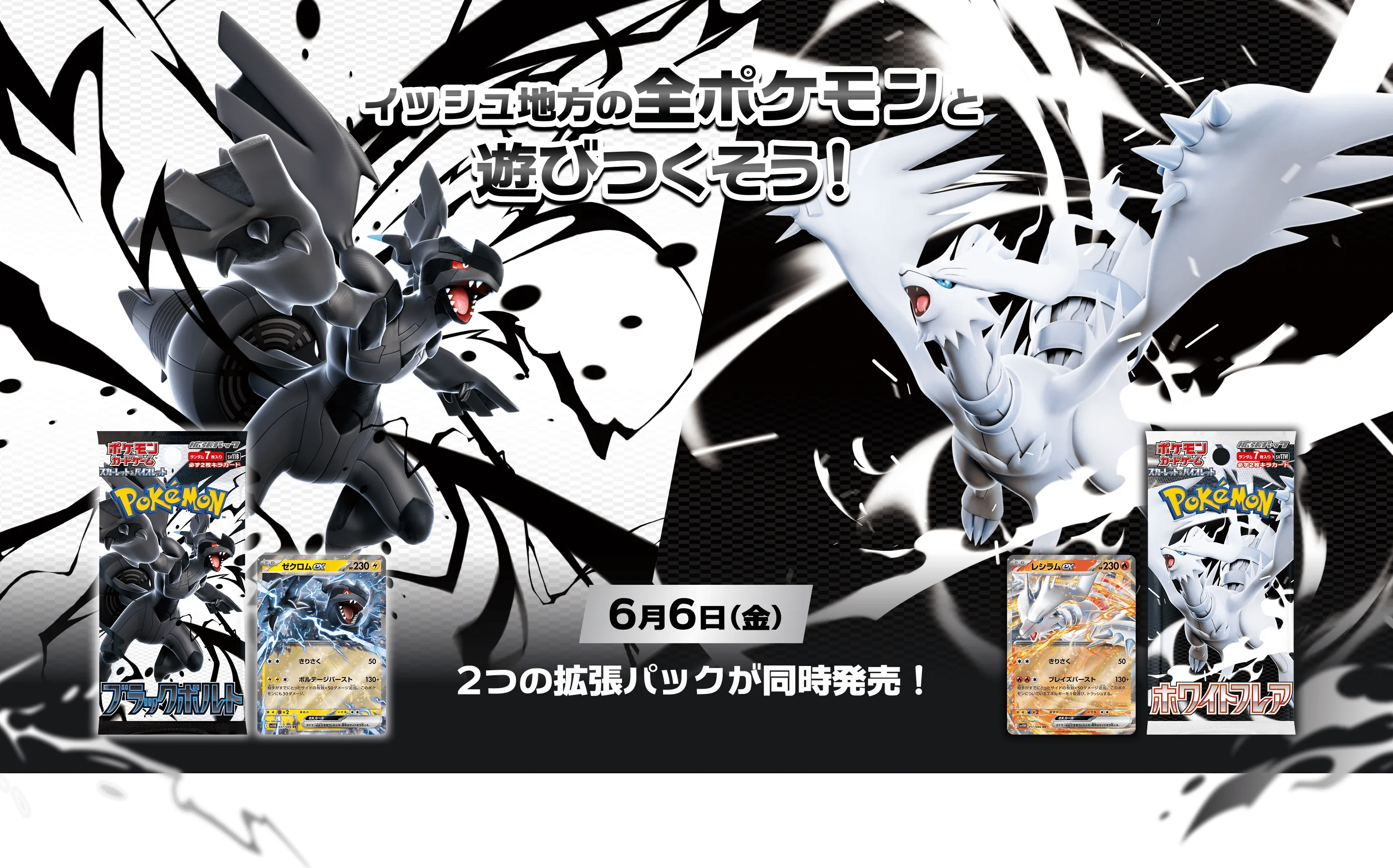 japanese black and white pokemon cards Top 15 SV11B BOLT & SV11W FLARE #pokemon #pokemoncards #pokmontcg #hobby Pokemon Japanese SV11 Black Bolt