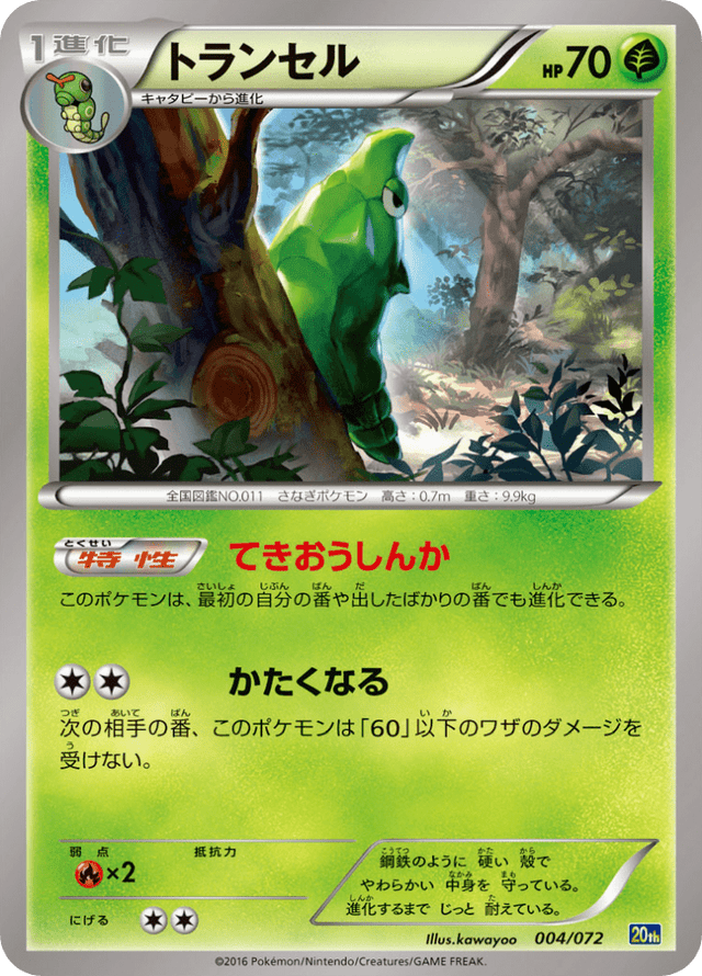 Metapod 004/84