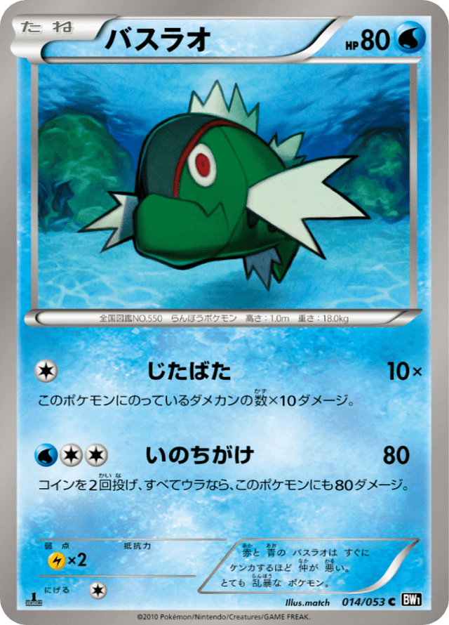 Basculin 014/53