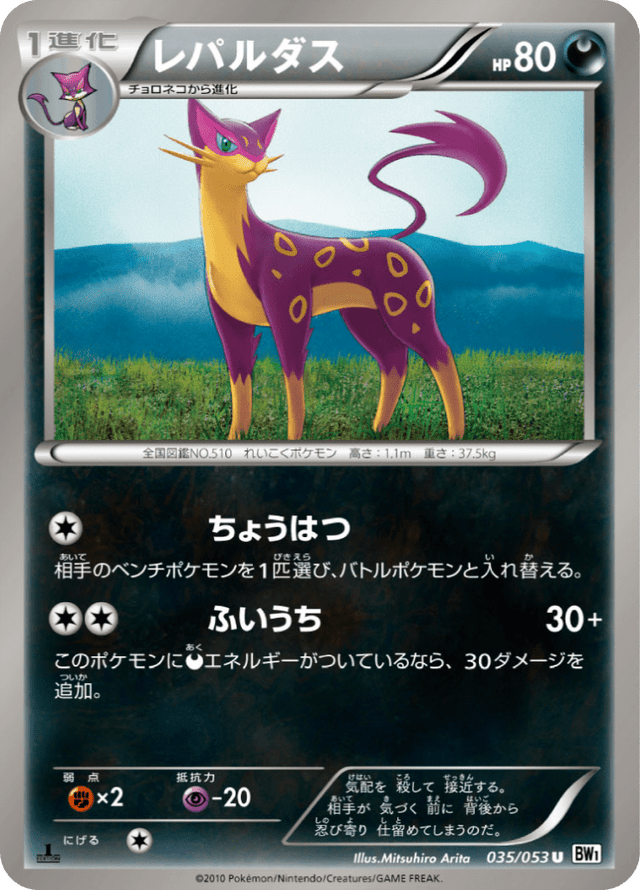Liepard 035/54