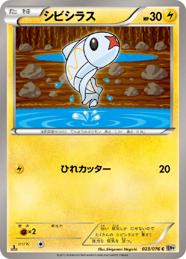 Tynamo 023/76