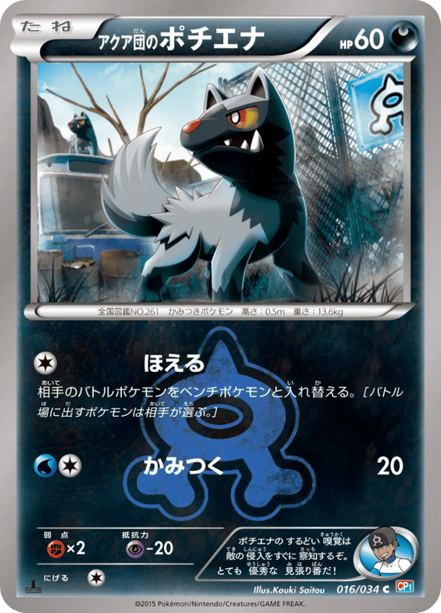 Team Aqua's Poochyena 016/34