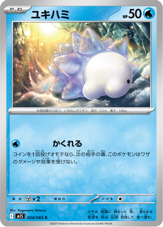 Snom 024/63