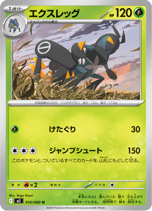 Lokix 010/80