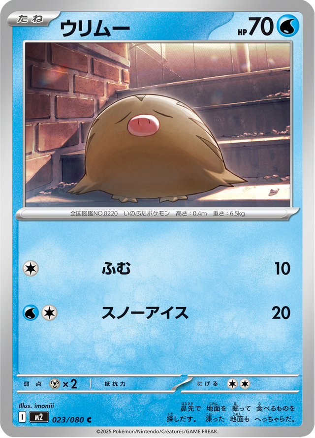 Swinub 023/80