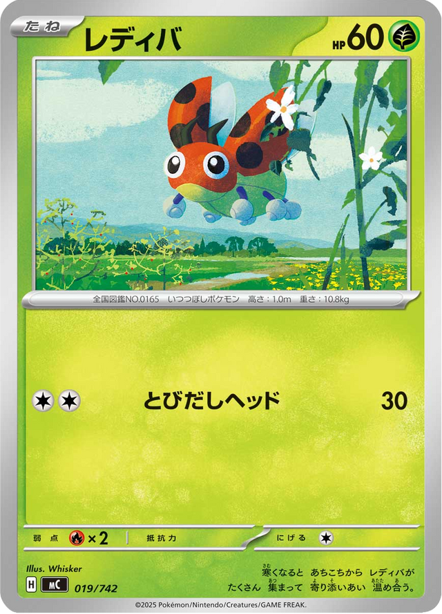 Ledyba 019/742