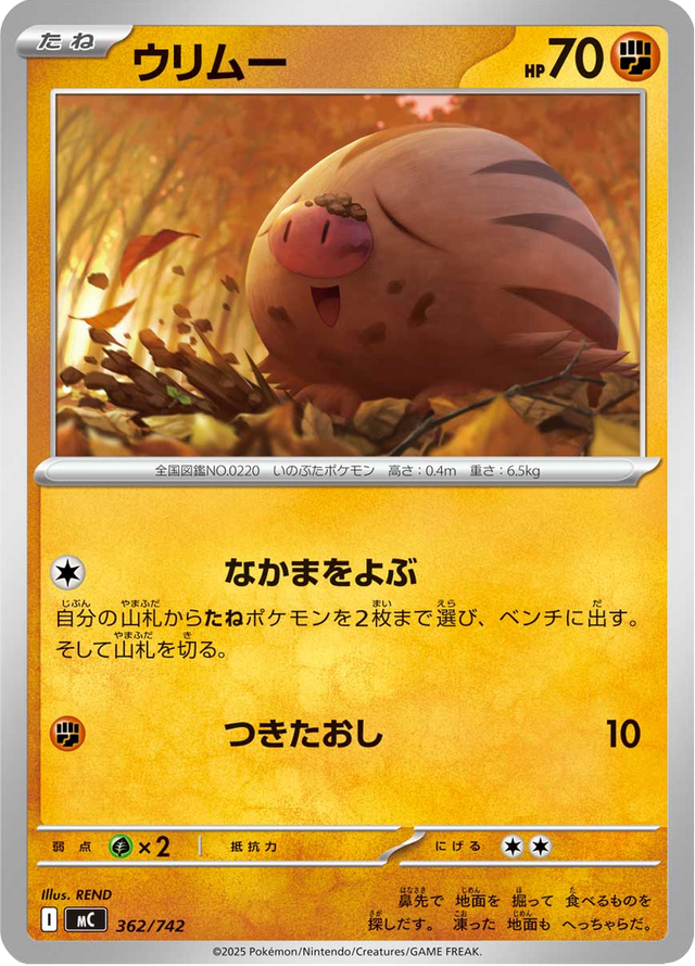 Swinub 362/742