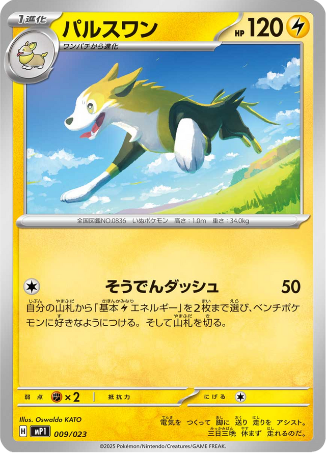 Boltund 009/23