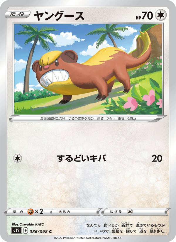 Yungoos 086/98