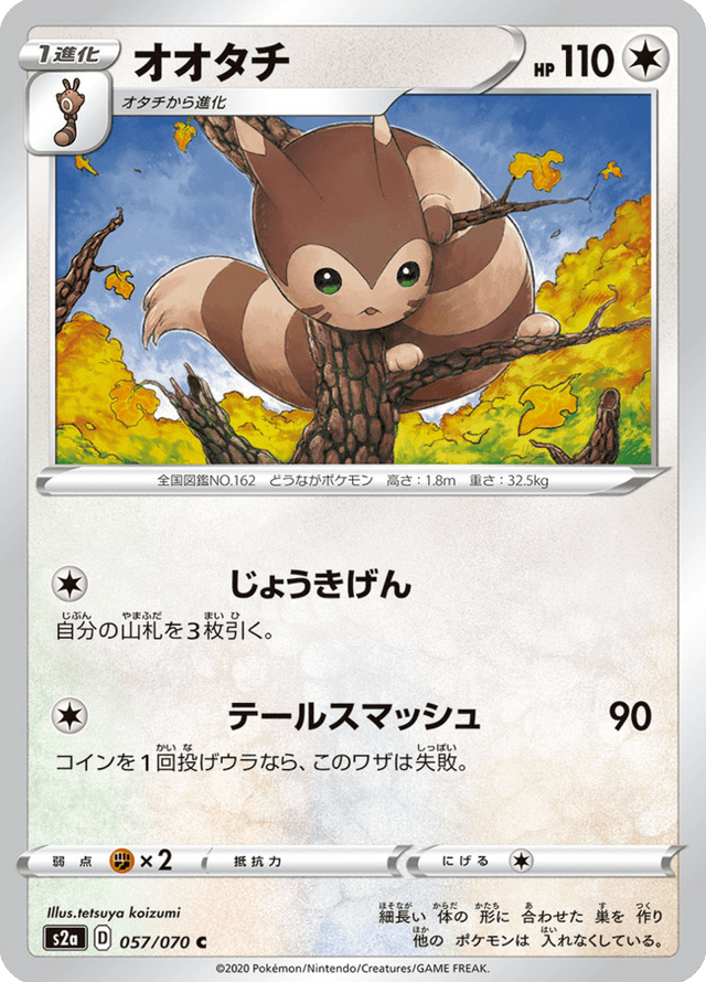 Furret 057/70