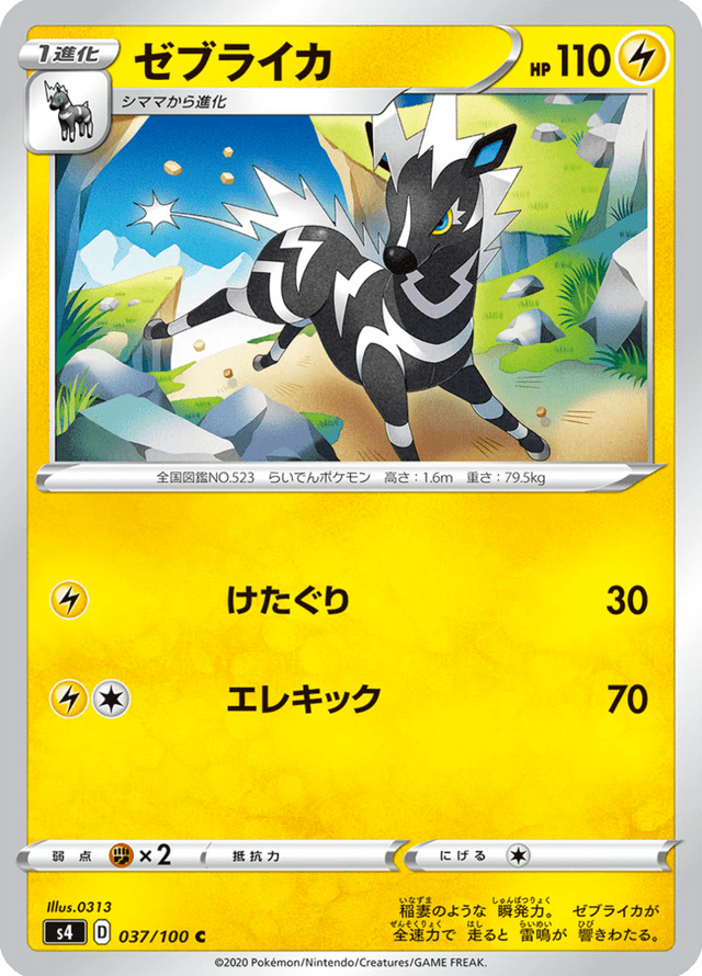 Zebstrika 037/100