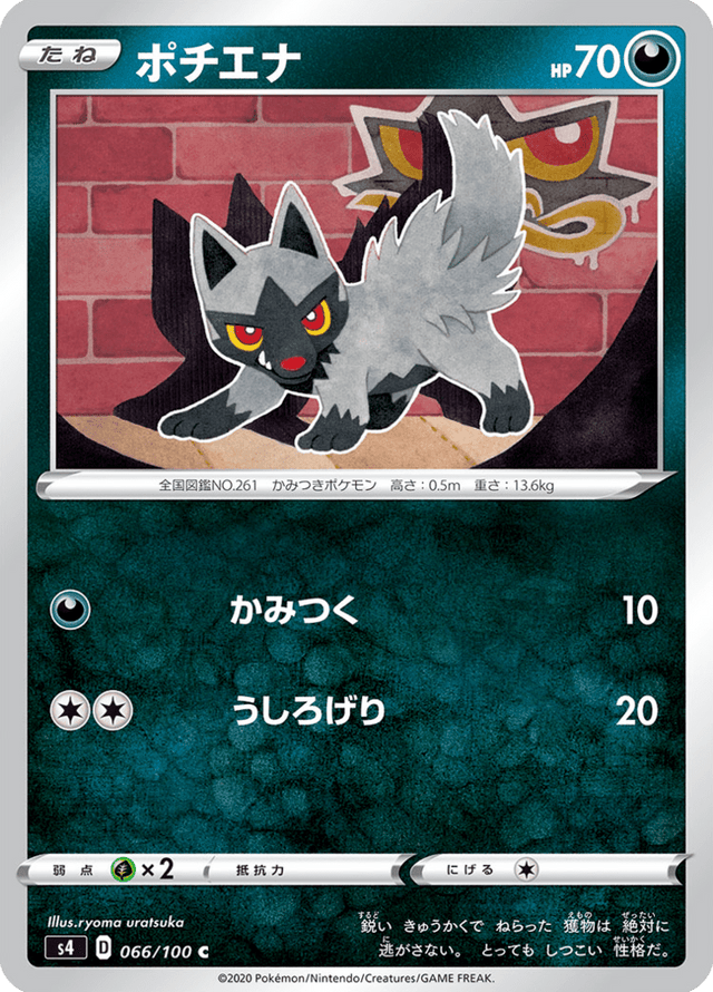 Poochyena 066/100
