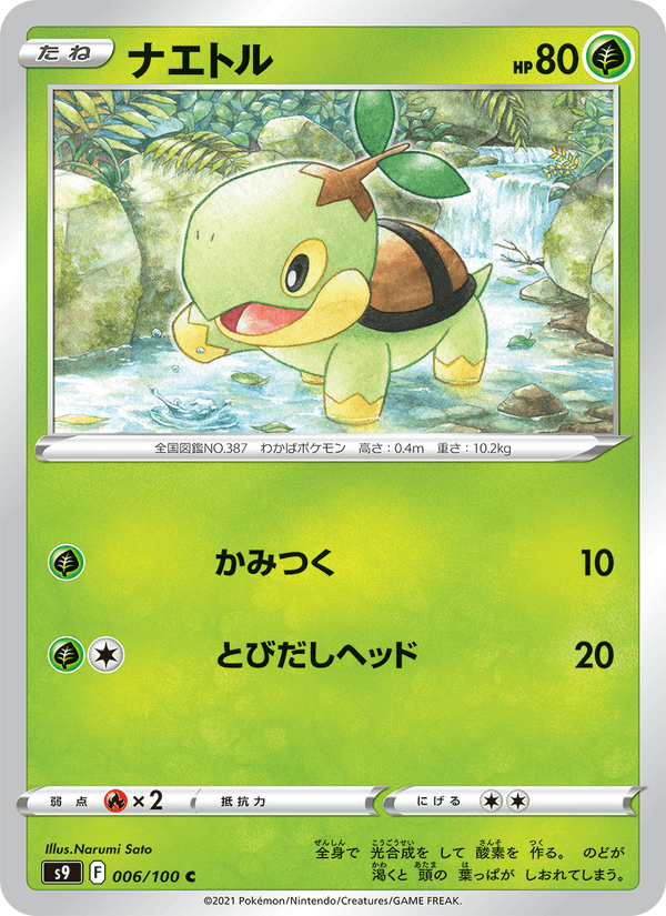 Turtwig 006/100