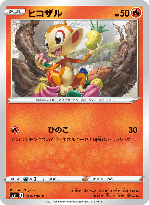 Chimchar 019/100