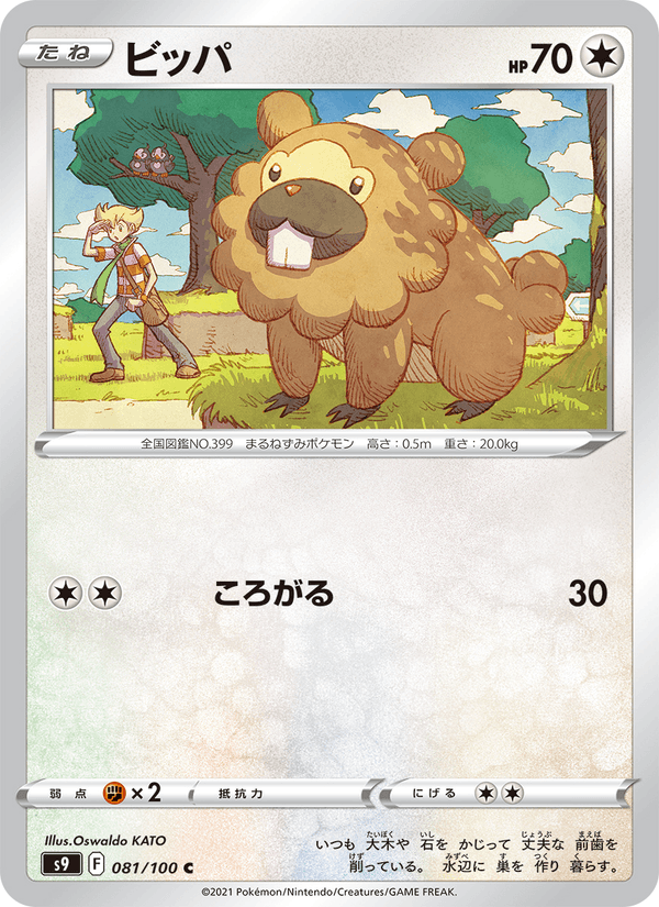 Bidoof 081/100