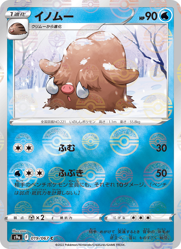 Piloswine 019/67