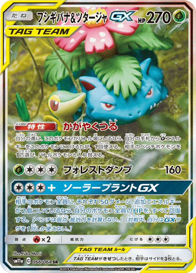 Venusaur & Snivy GX 066/64