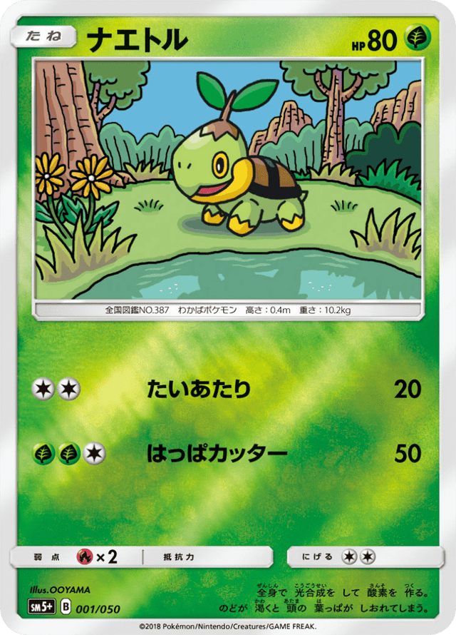 Turtwig 001/50
