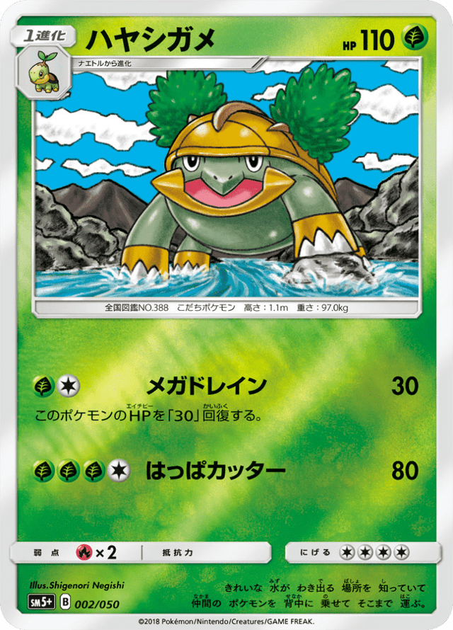 Grotle 002/50