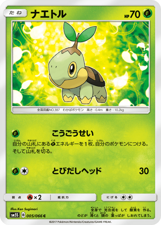 Turtwig 005/66