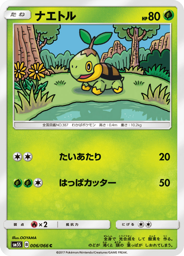 Turtwig 006/66