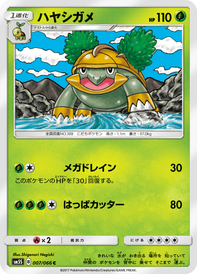 Grotle 007/66