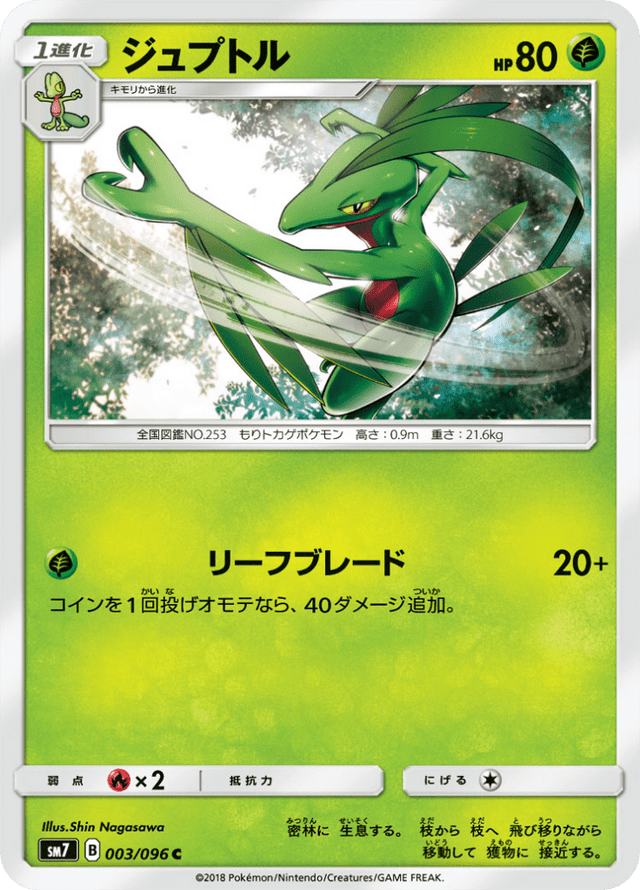 Grovyle 003/96