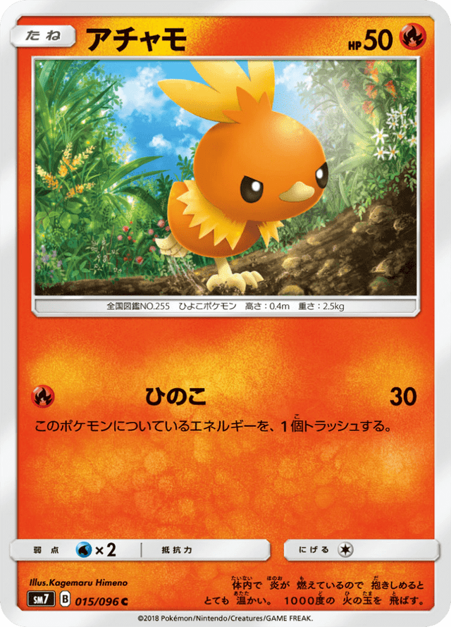 Torchic 015/96