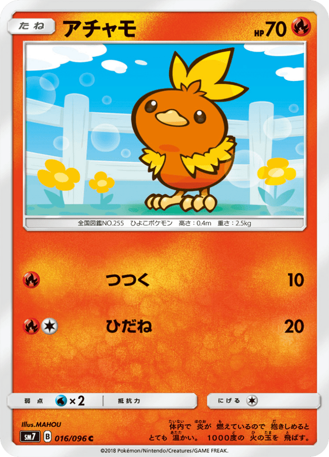 Torchic 016/96