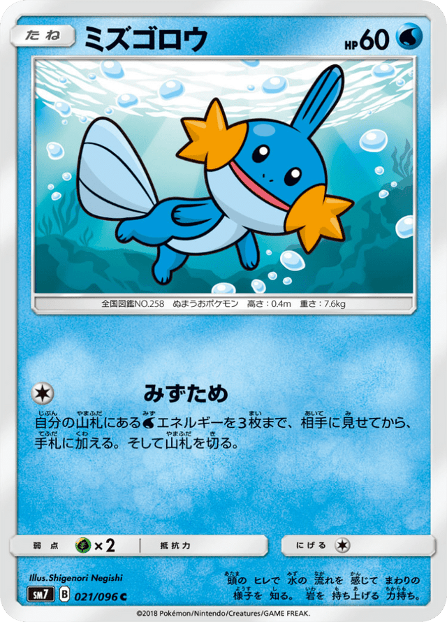 Mudkip 021/96