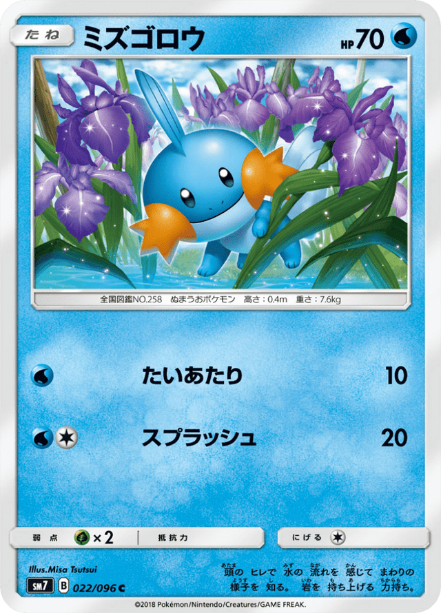 Mudkip 022/96