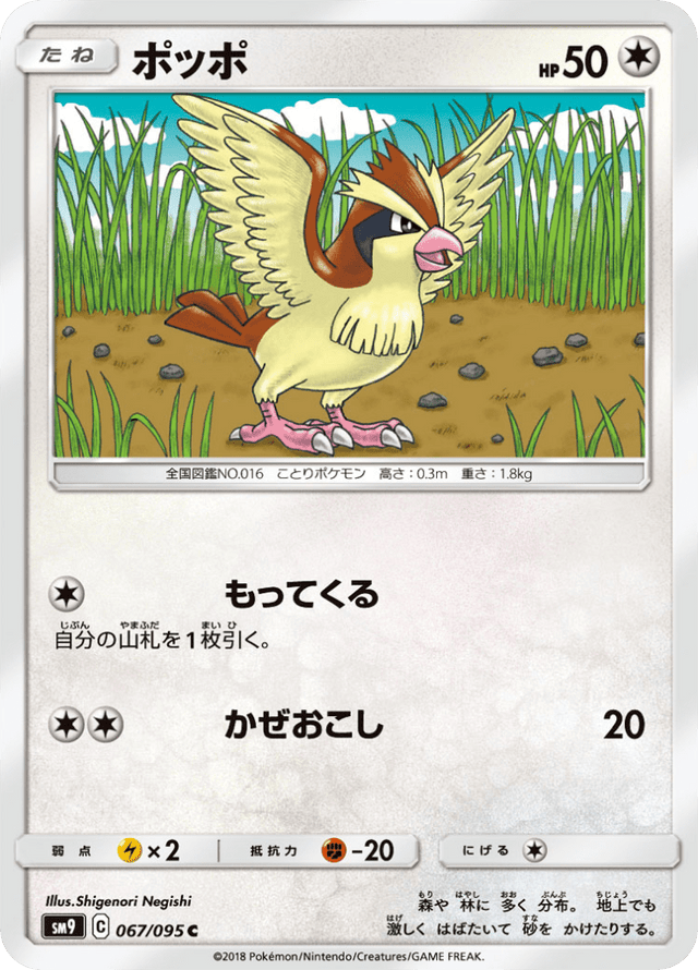 Pidgey 067/95
