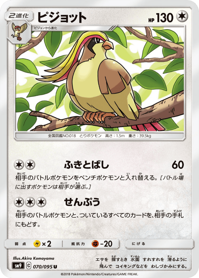 Pidgeot 070/95