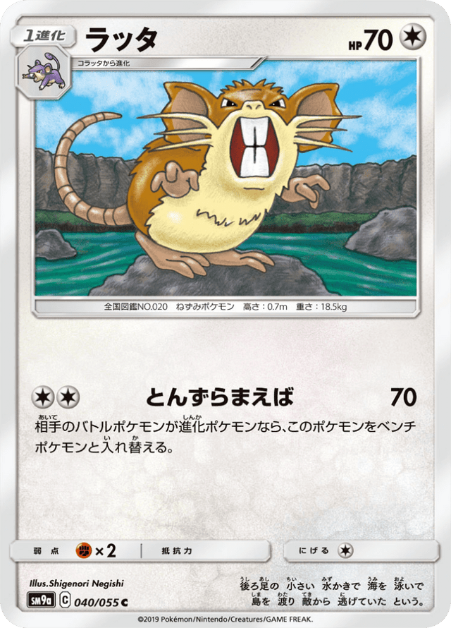 Raticate 040/55