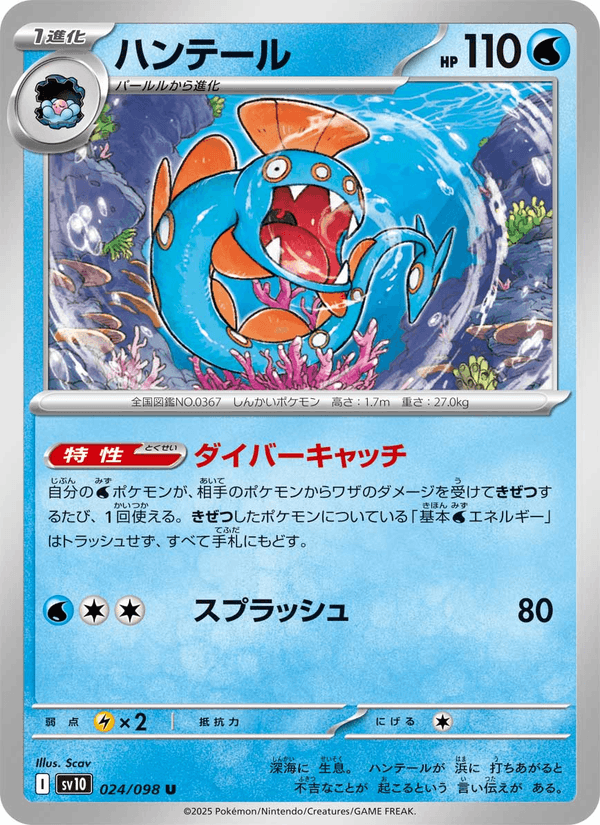 Huntail 024/98