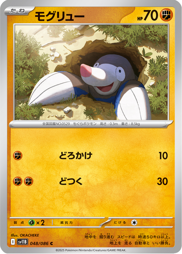 Drilbur 048/174
