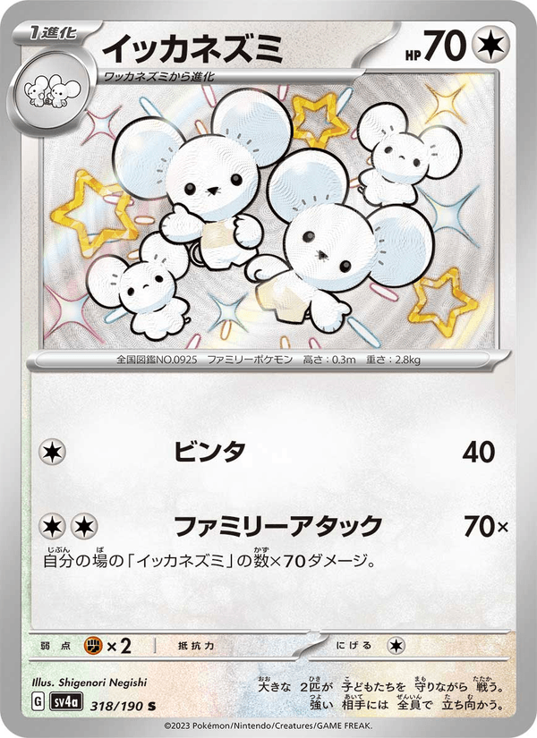 Maushold 318/190