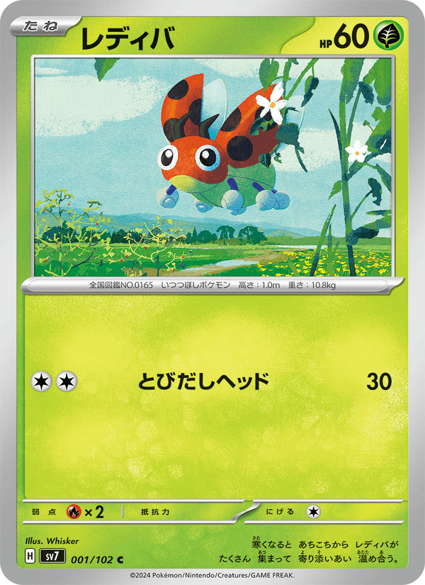 Ledyba 001/102
