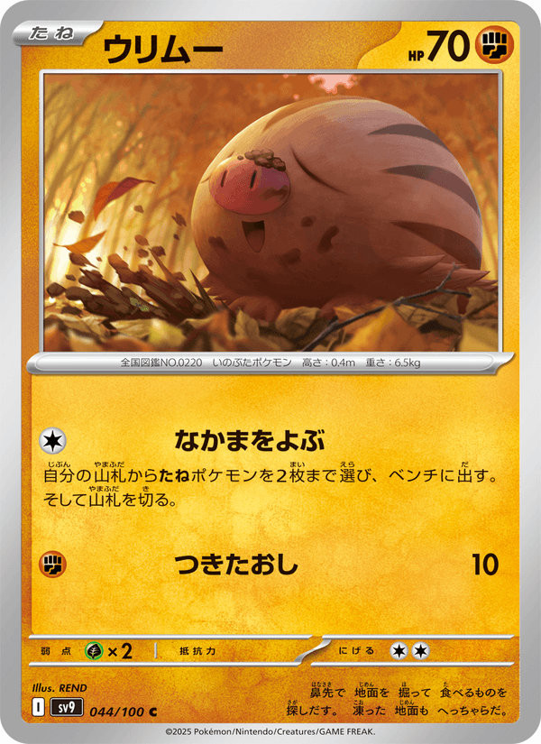 Swinub 044/100