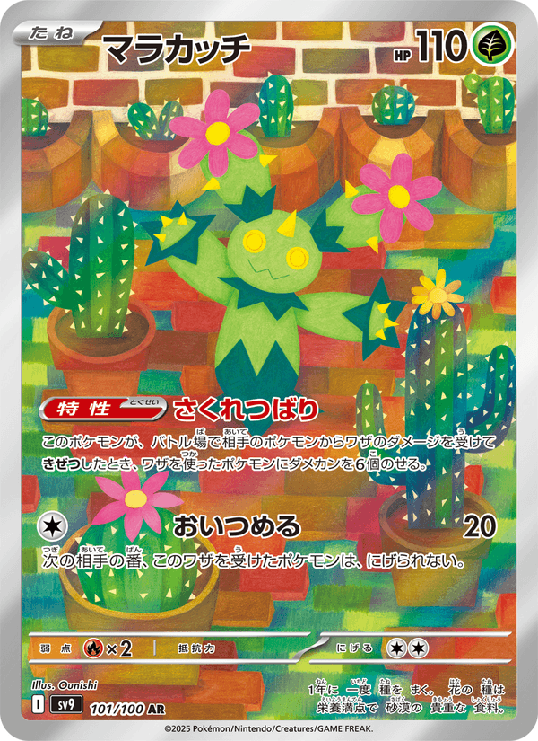 Maractus 101/100