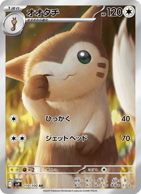 Furret 110/100