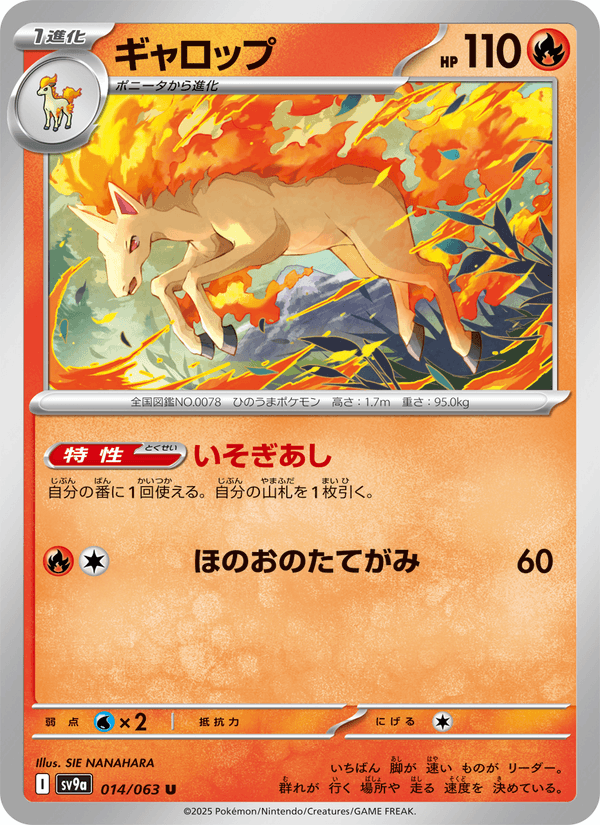 Rapidash 014/63