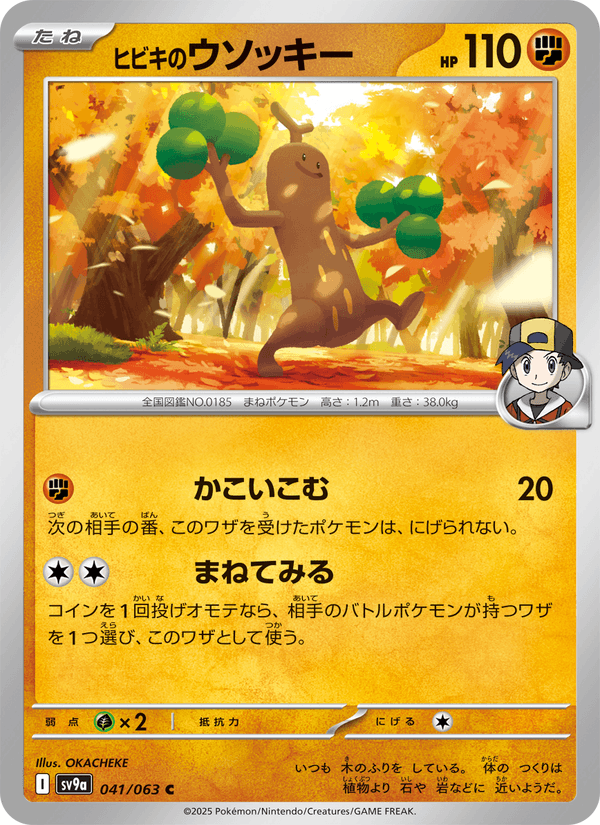 Ethan's Sudowoodo 041/63