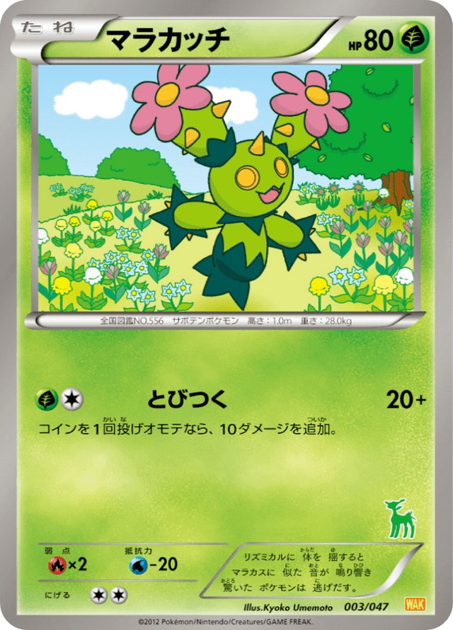 Maractus 003/62
