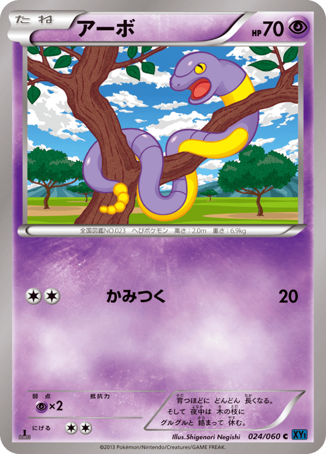 Ekans 024/63