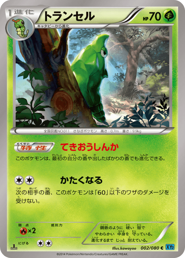 Metapod 002/80