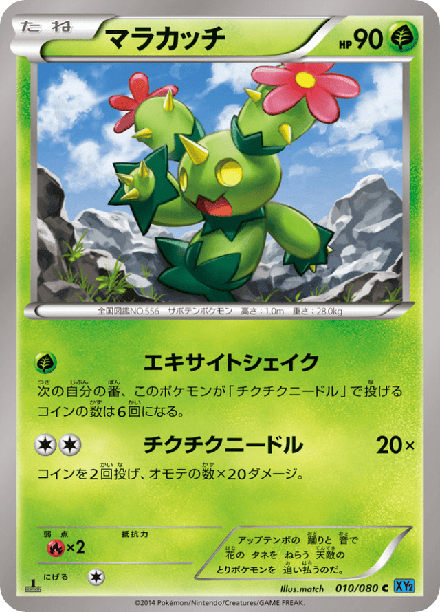 Maractus 010/80