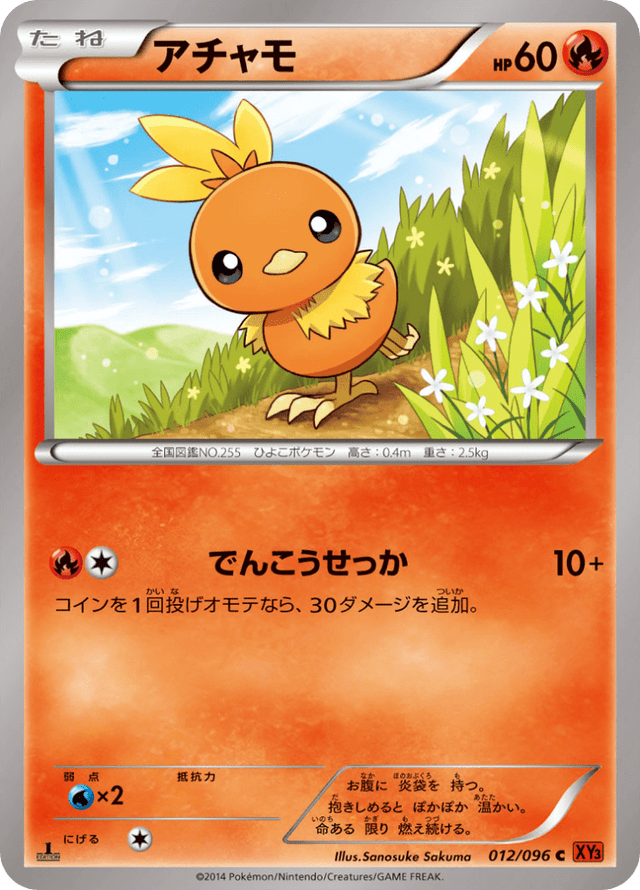 Torchic 012/96