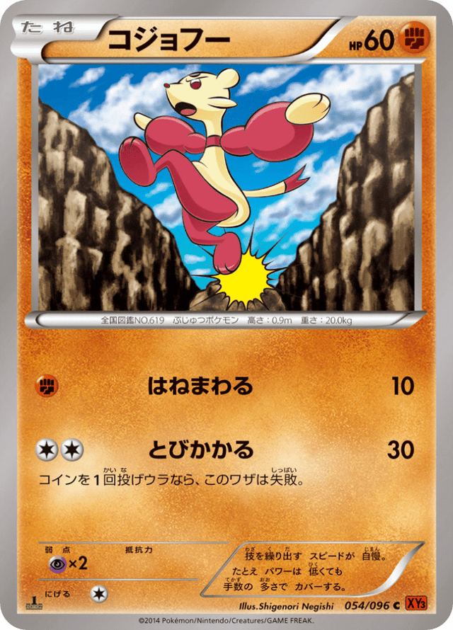 Mienfoo 054/96