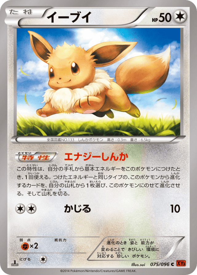 Eevee 075/96